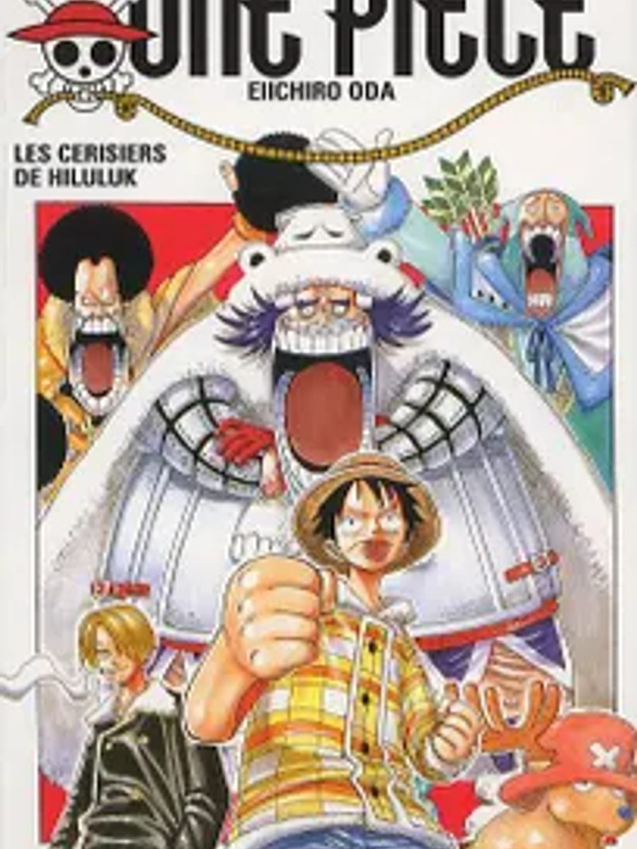 One Piece, Tome 17 (French Edition)