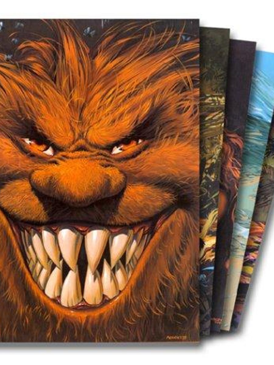 Trolls de Troy (Coffret)